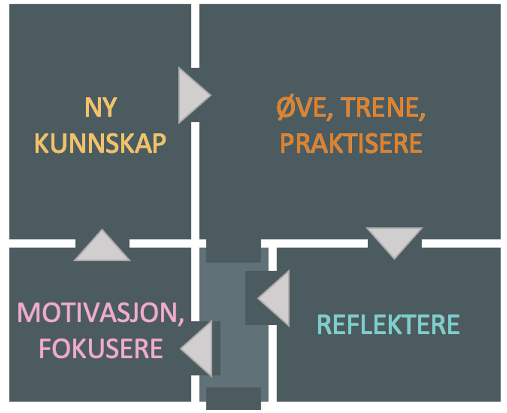 Organisatorisk L ring Specifique