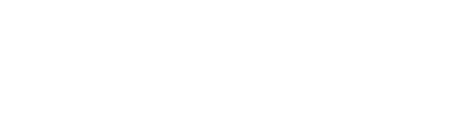 Salmar logo in white